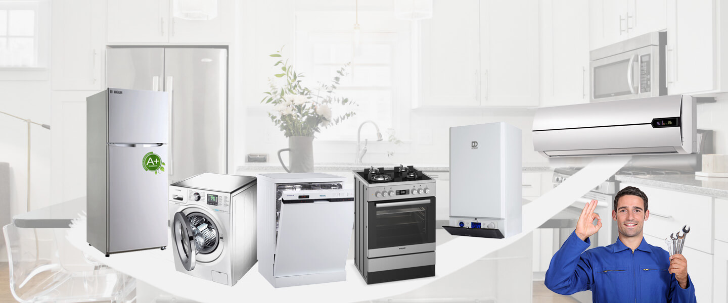 Balıkesir Dominox Servisi